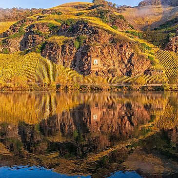Mosel im Herbst