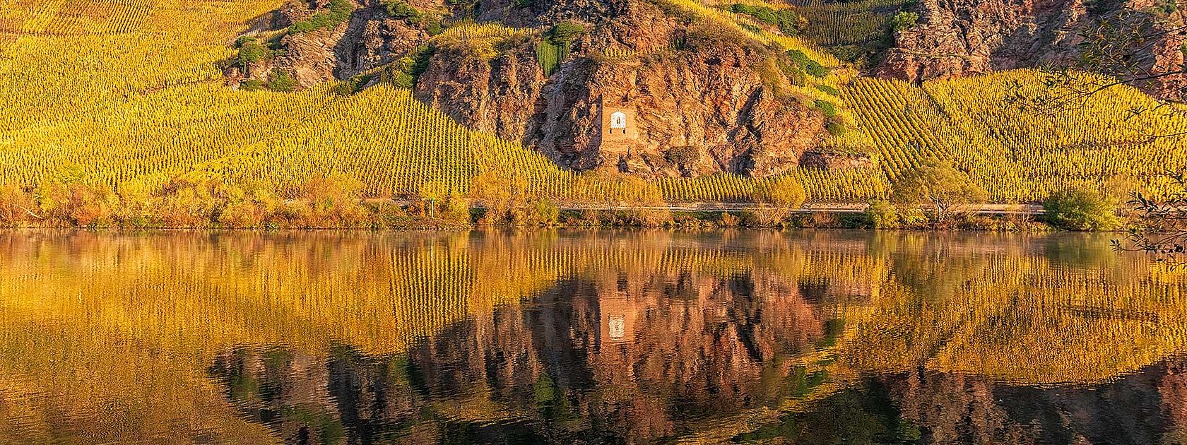 Mosel im Herbst