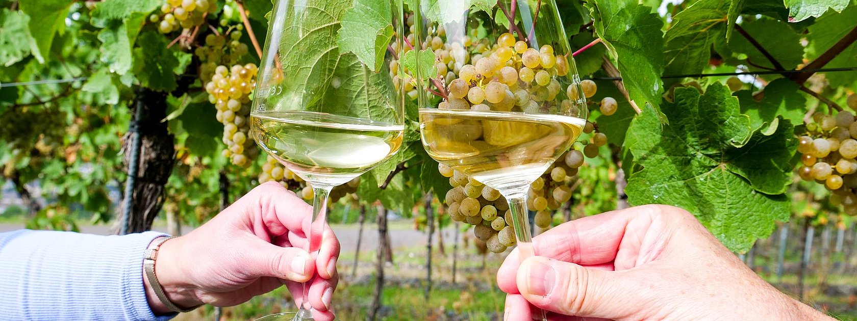 Wein