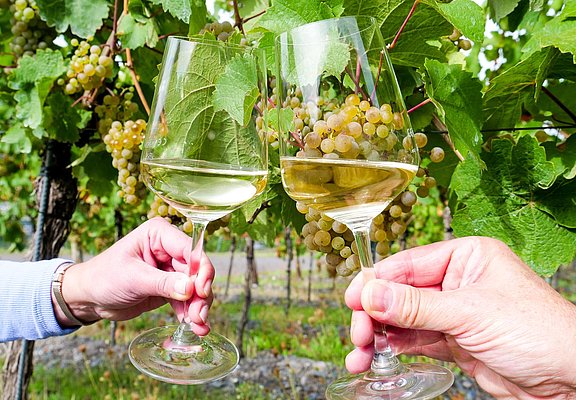 Wein
