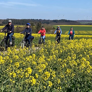 Radlen durch Rapsfelder