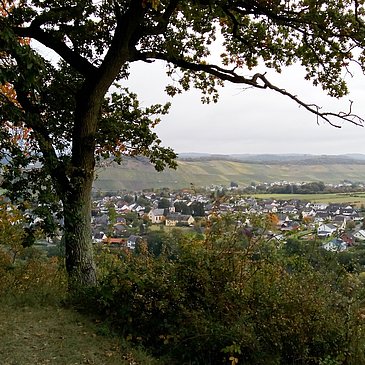 Herbstliche Aussicht auf Noviand