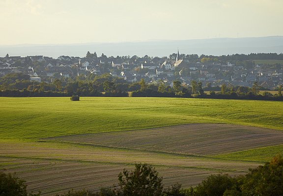 Monzelfeld im Hunsrück