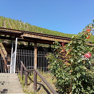 Kelteranlage in den Weinbergen