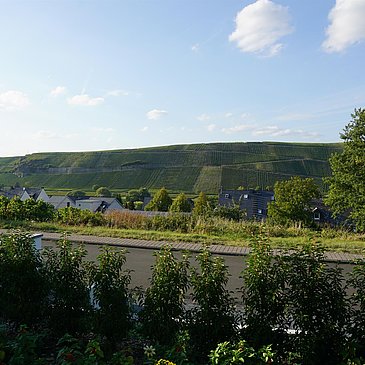 Ihre Aussicht