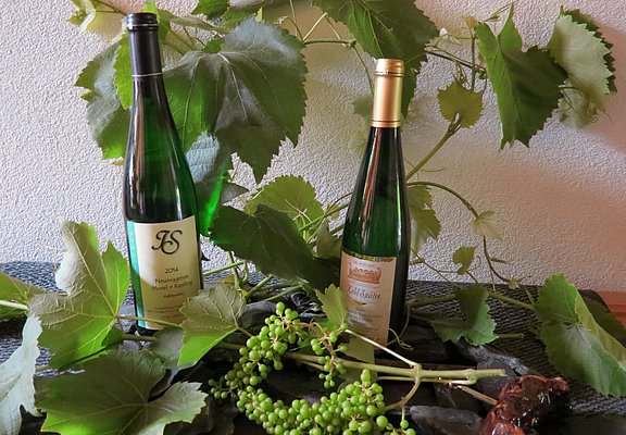Weingut Ingo Später