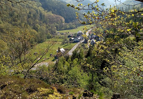 Hirzlei
