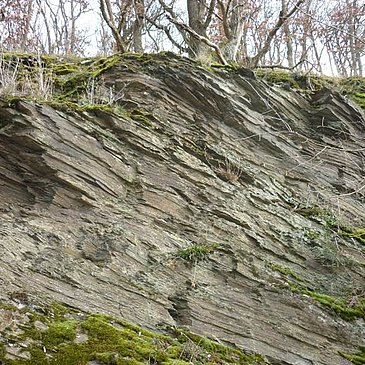 Fein geschichteter Schiefer bei Starkenburg