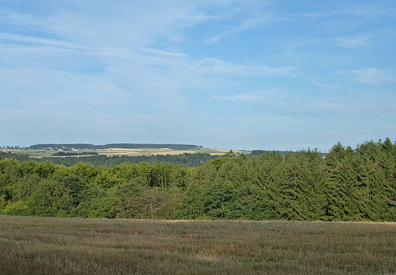 Ausblick auf die Wald- und Wiesenlandschaft