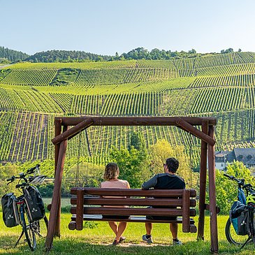Genussradeln entlang des Mosel-Radwegs bei Erden