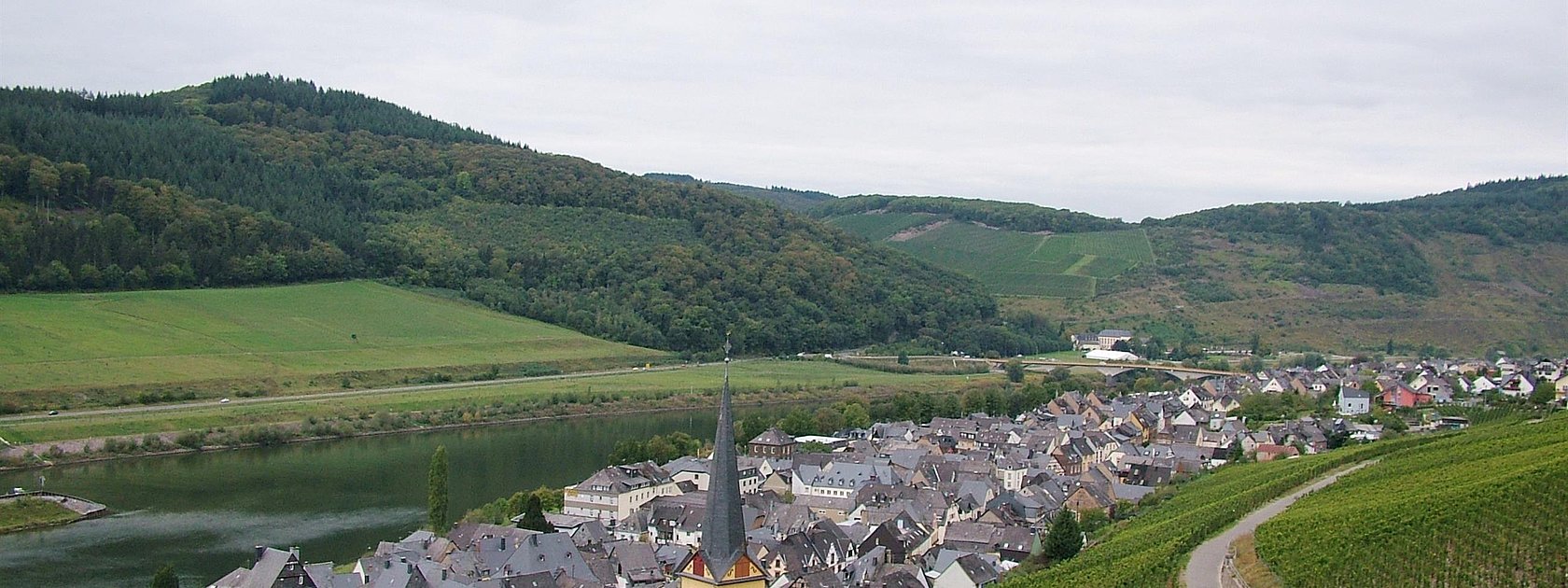 Zeltingen Panorama