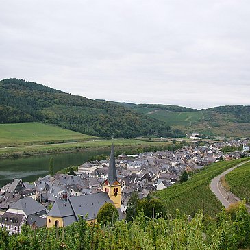 Zeltingen Panorama