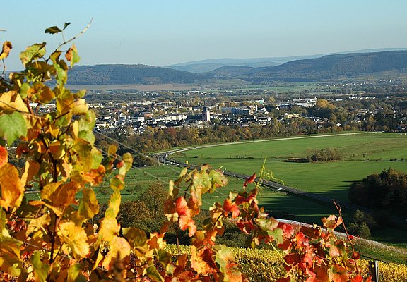 Weinberge bei Wittlich