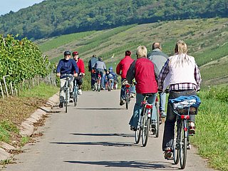 Radler im Weinberg