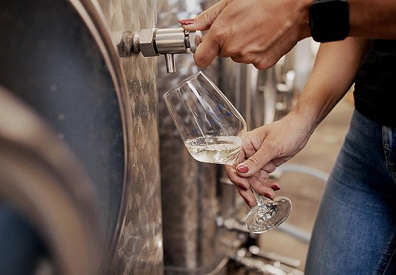 Jungwein-Tasting im Weinkeller