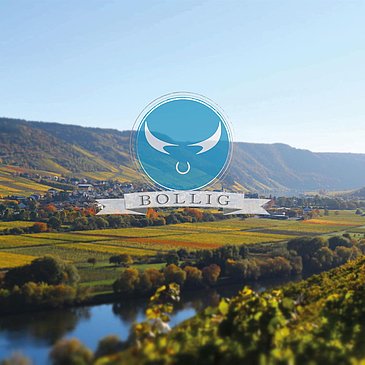 Weinlandschaft
