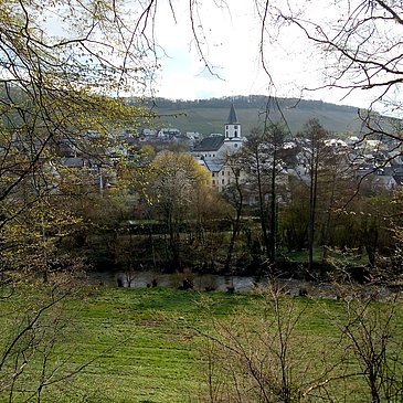 Aussicht vom Lieserpfad bei Maring